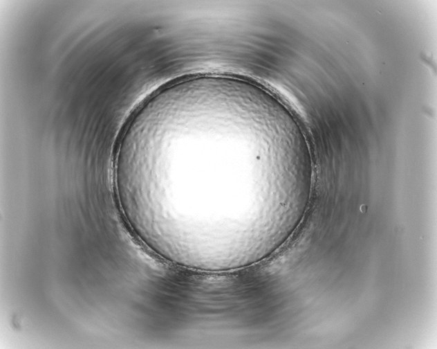 X0000093230839200710241234