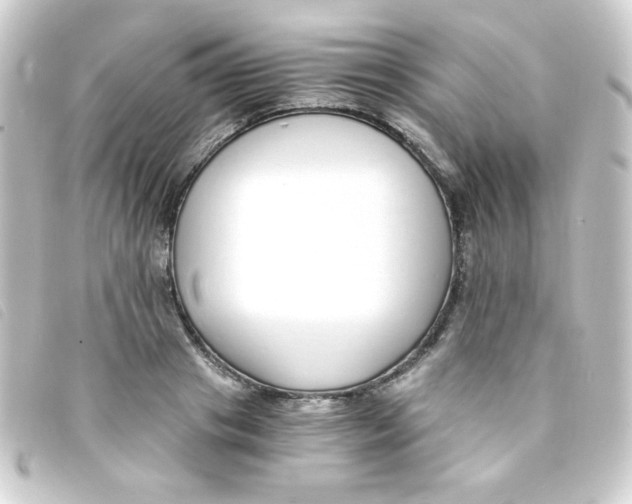 X0000093230841200710241234