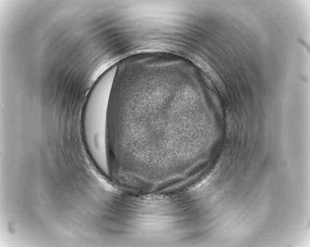 X0000093230842200710241234