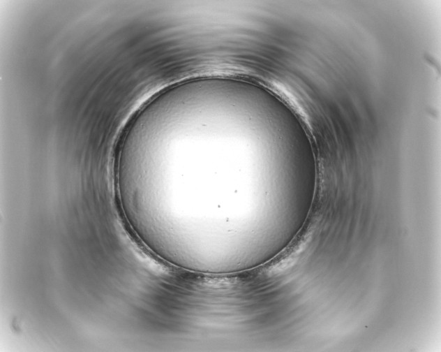 X0000093230843200710241234