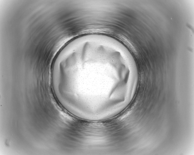 X0000093230844200710241234