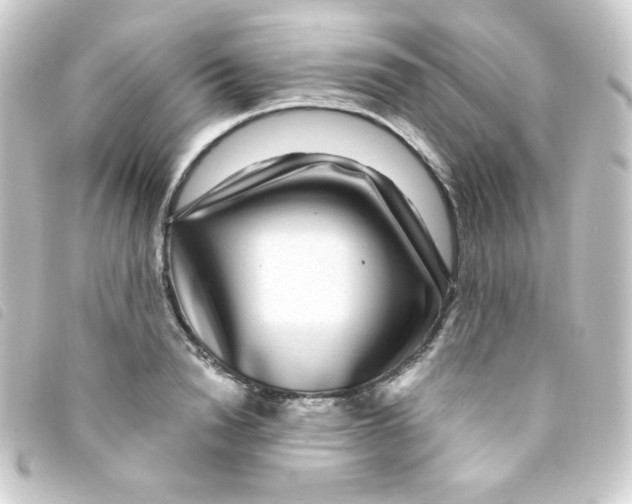 X0000093230846200710241234