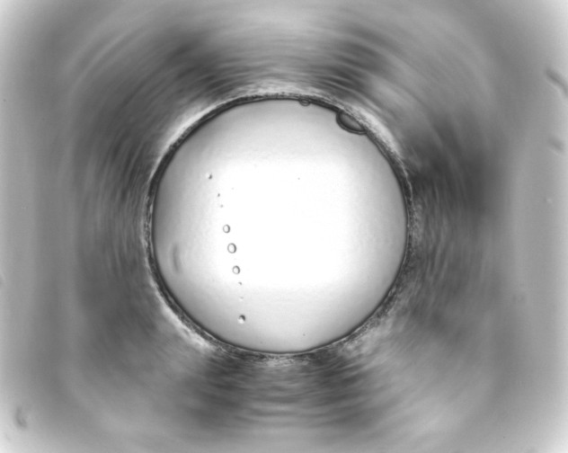 X0000093230847200710241234