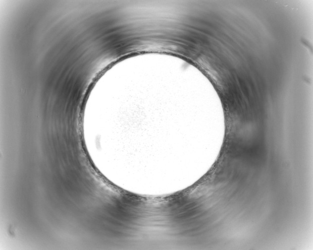 X0000093230848200710241234