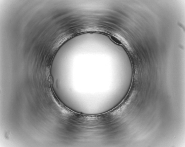 X0000093230849200710241234