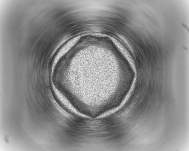 X0000093230851200710241234