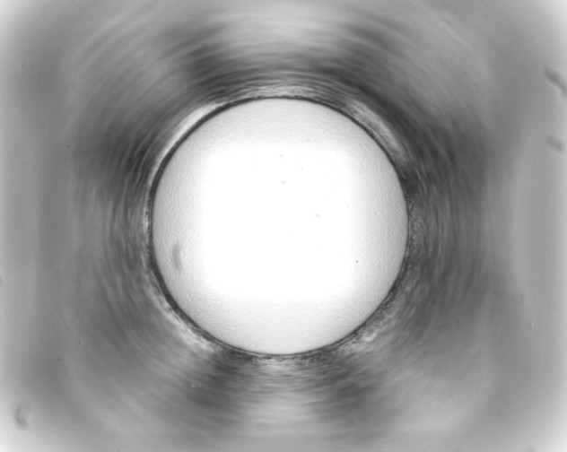 X0000093230852200710241234