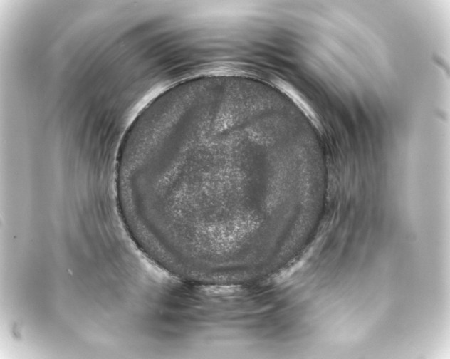 X0000093230853200710241234