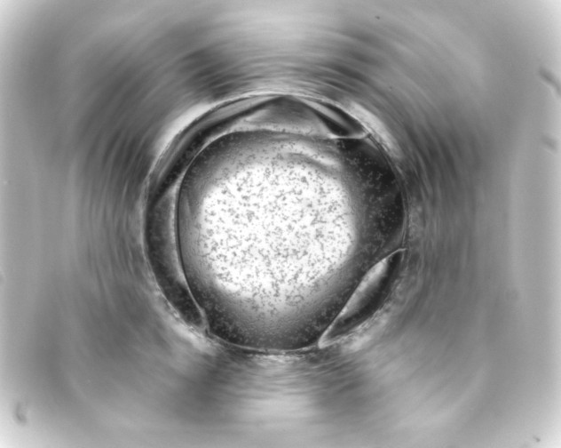 X0000093230854200710241234