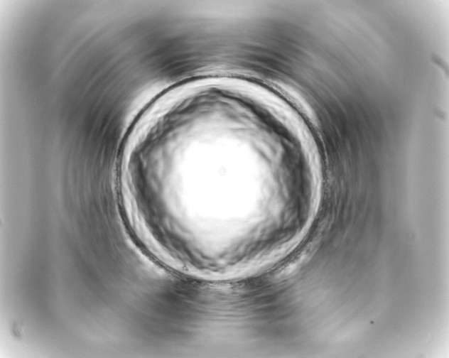 X0000093230855200710241234