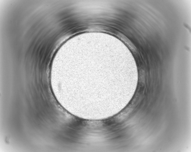 X0000093230856200710241234