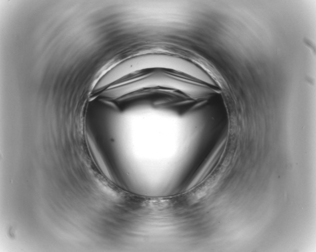 X0000093230858200710241234