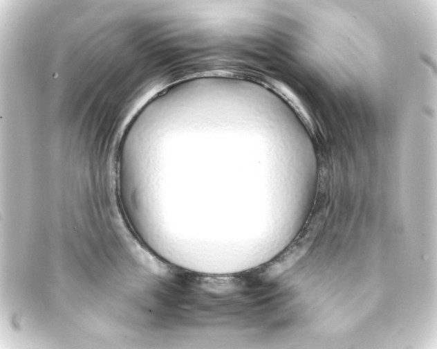 X0000093230859200710241235