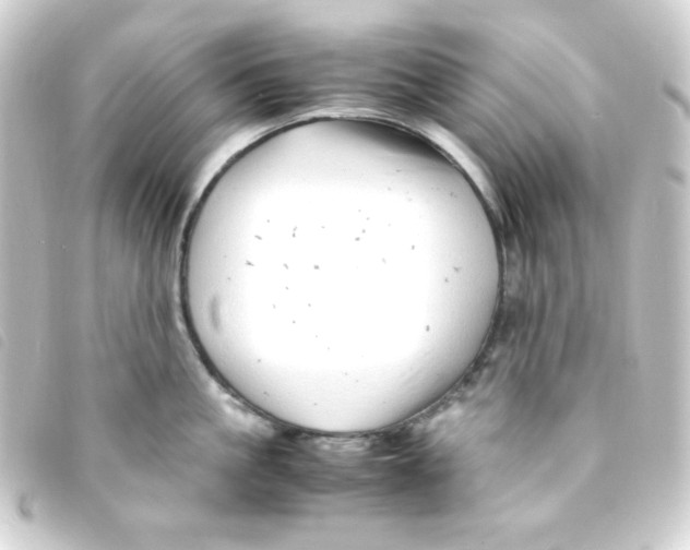 X0000093230861200710241235