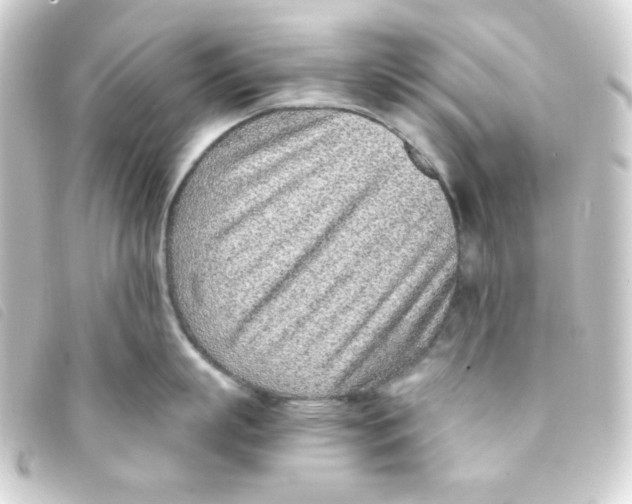 X0000093230863200710241235