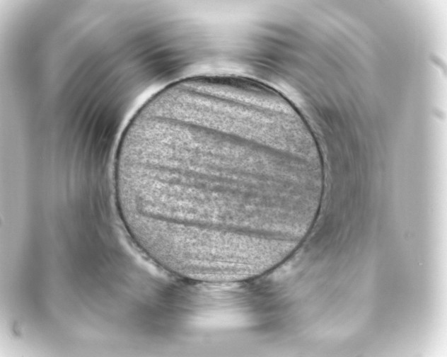 X0000093230864200710241235