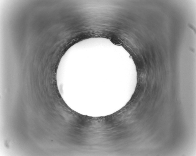 X0000093230865200710241234