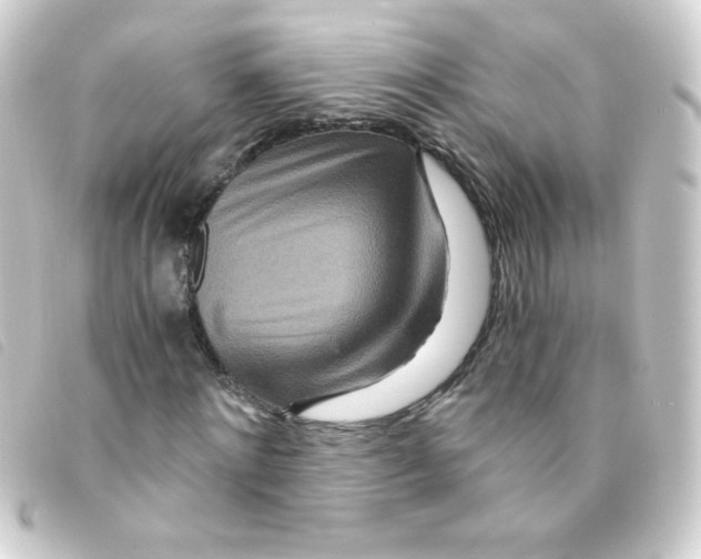 X0000093230868200710241234