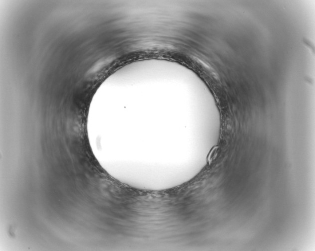 X0000093230869200710241234