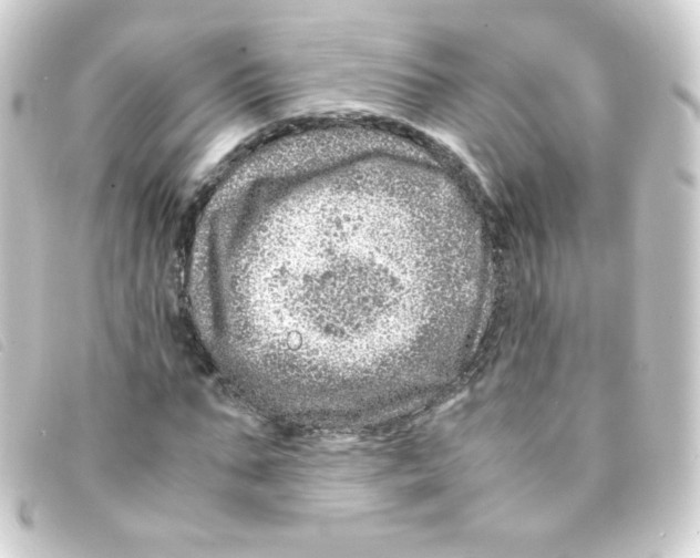 X0000093230871200710241234