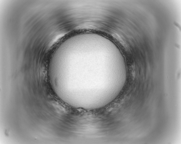 X0000093230872200710241234