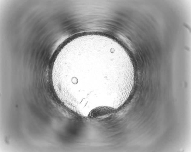 X0000093230875200710241234