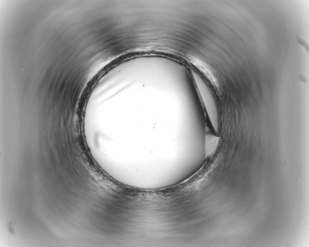 X0000093230876200710241234