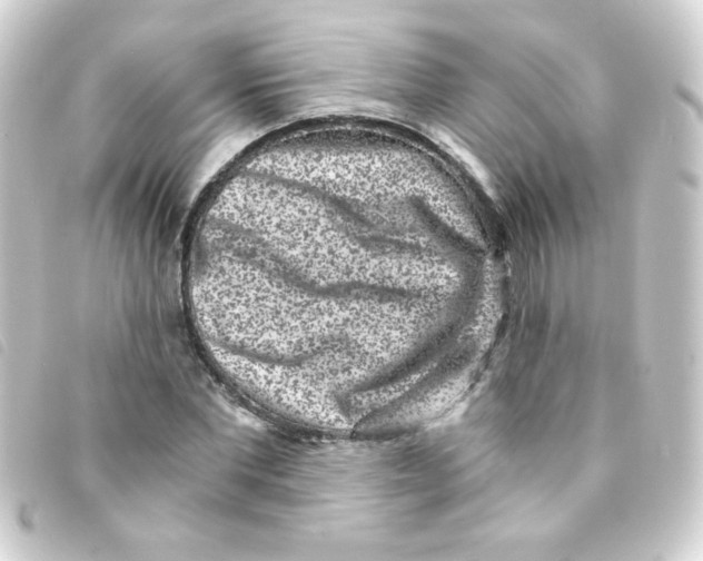 X0000093230877200710241234