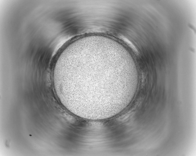 X0000093230878200710241233