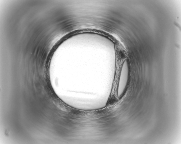 X0000093230879200710241233