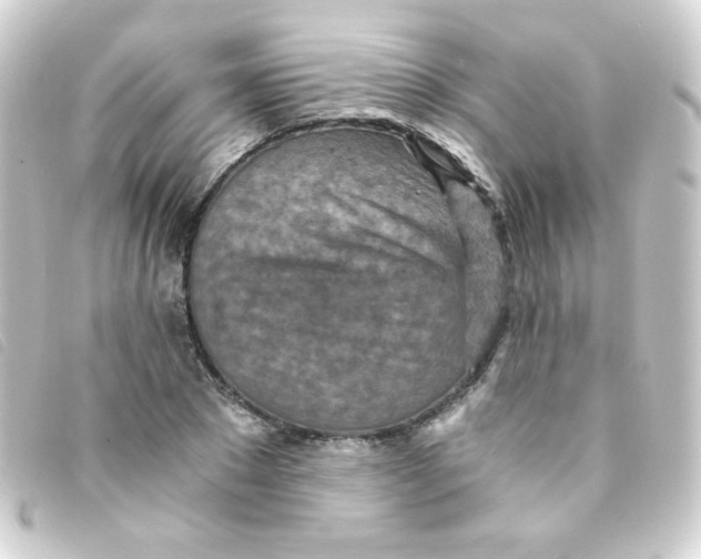 X0000093230881200710241233