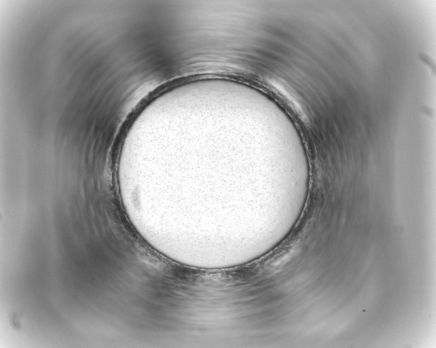 X0000093230883200710241233