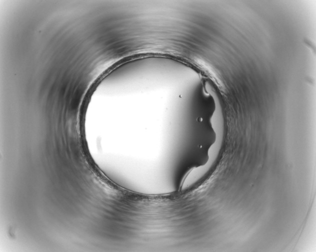 X0000093230884200710241233