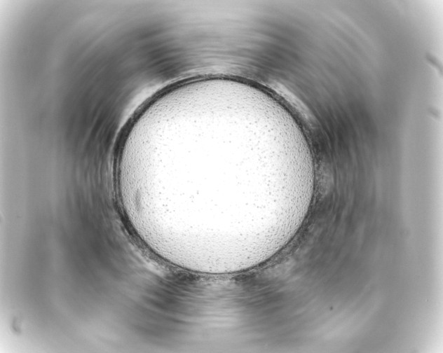 X0000093230886200710241233