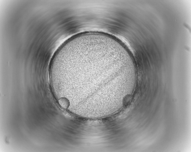 X0000093230887200710241233