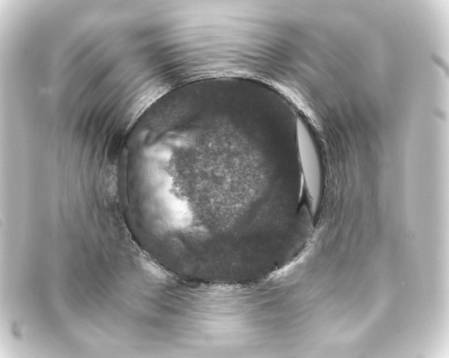 X0000093230889200710241233