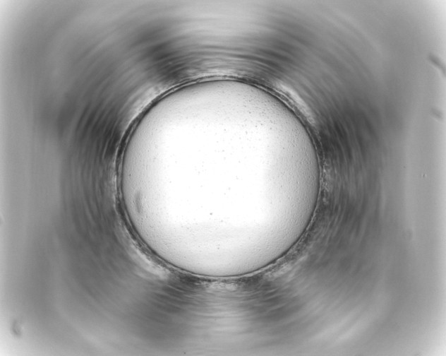 X0000093230890200710241233