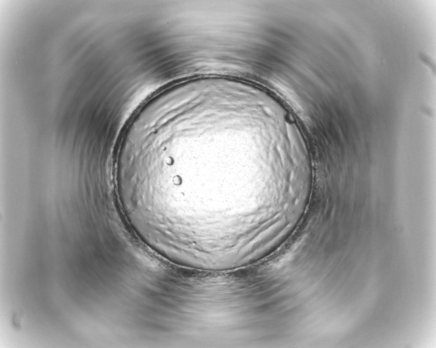 X0000093230891200710241233