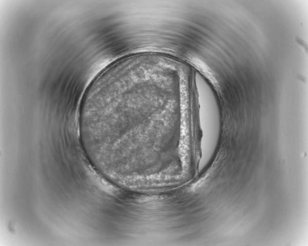 X0000093230892200710241233