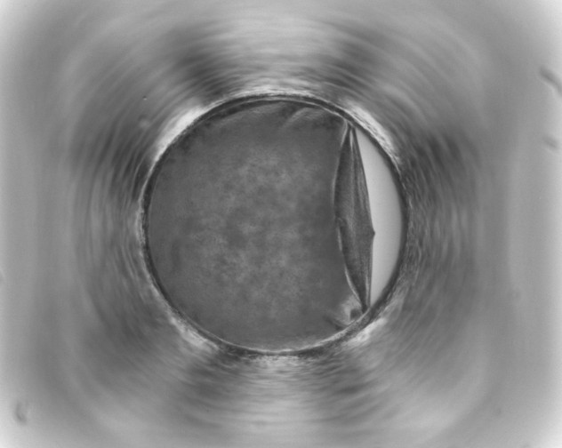 X0000093230893200710241233