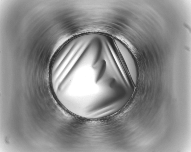 X0000093230894200710241233