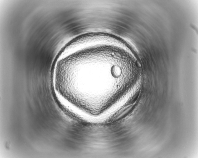 X0000093230895200710241233