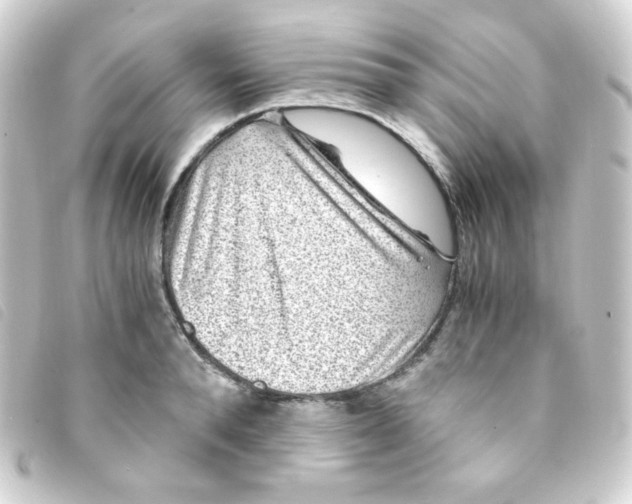 X0000093230896200710241233