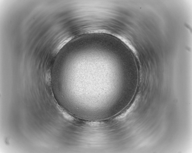 X0000093230897200710241233