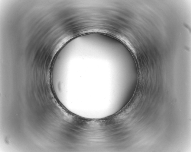 X0000093230898200710241233