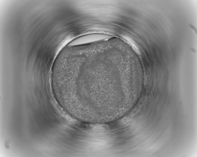 X0000093230899200710241233