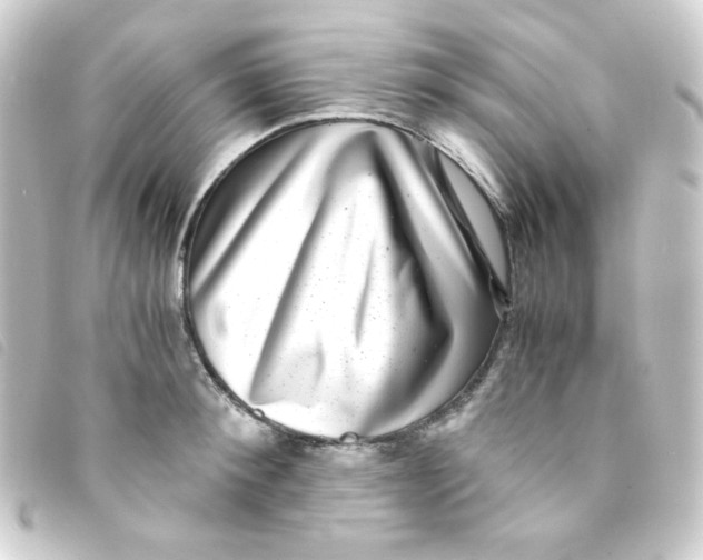 X0000093230900200710241233