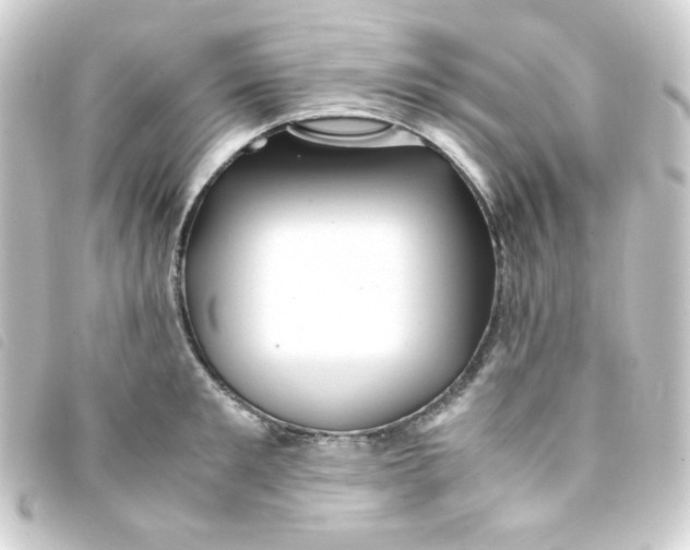 X0000093230901200710241233