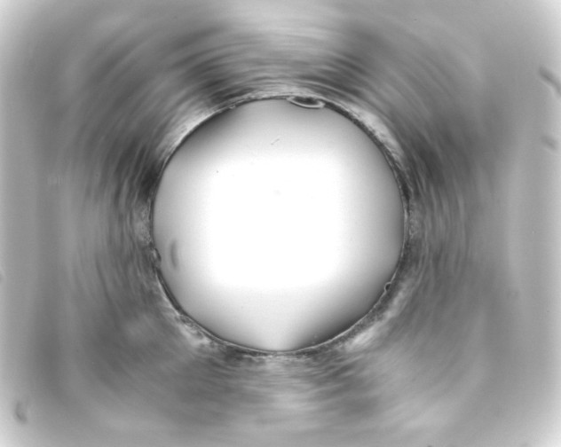 X0000093230905200710241233