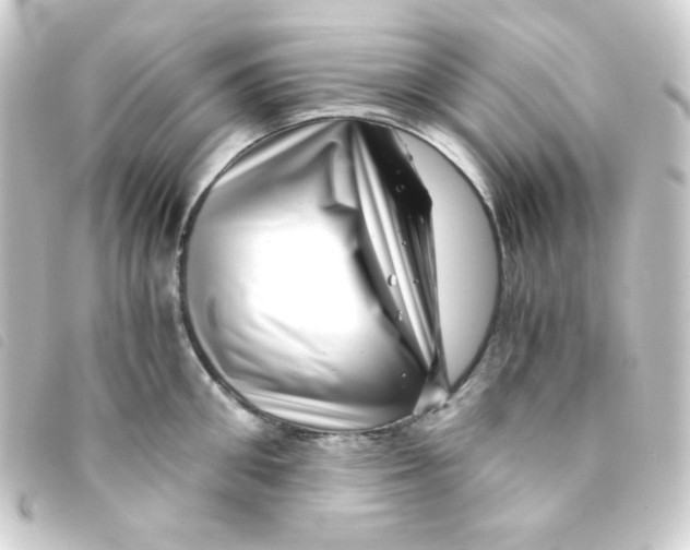 X0000093230906200710241233